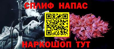 хмурый Кингисепп