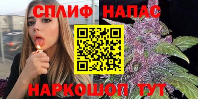 spice Кимры