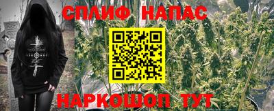 spice Кимры