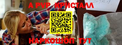 хмурый Кингисепп